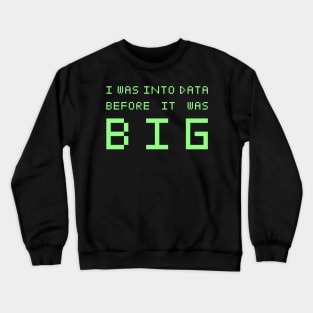 Data Hipster Crewneck Sweatshirt